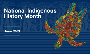QAHN Salutes "National Indigenous History Month"