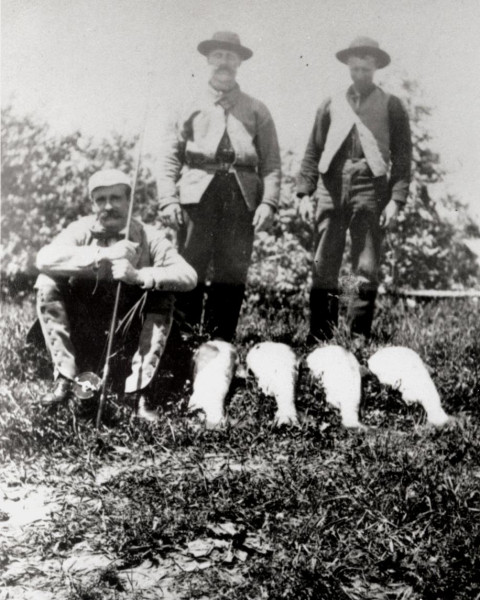 Davis (seated, left) with his fishing guides and his catch of the day, c.1900.  (Photo - Cascapedia River Museum Collection) 