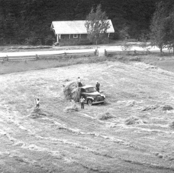 Making hay, 1950s. Farming was a way of life for most families in the area. (Photo - Cascapedia River Museum)